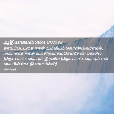 Picture 02 - ஆதியாகமம் 31:39 TAMIRV - காயப்பட்டதை நான் - Bible Verse Picture