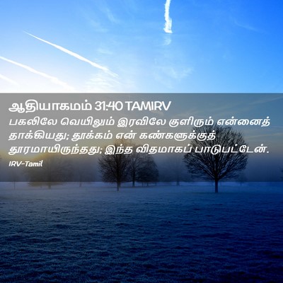 Picture 02 - ஆதியாகமம் 31:40 TAMIRV - பகலிலே வெயிலும் - Bible Verse Picture