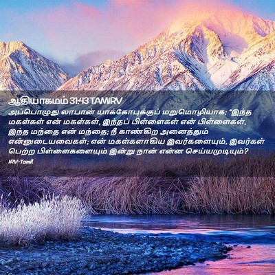 Picture 02 - ஆதியாகமம் 31:43 TAMIRV - அப்பொழுது லாபான் - Bible Verse Picture