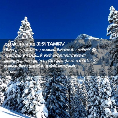 Picture 02 - ஆதியாகமம் 31:54 TAMIRV - பின்பு, யாக்கோபு - Bible Verse Picture