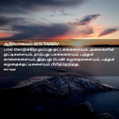 Picture 02 - ஆதியாகமம் 32:15 TAMIRV - பால் கொடுக்கிற - Bible Verse Picture