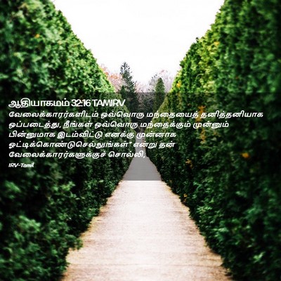 Picture 02 - ஆதியாகமம் 32:16 TAMIRV -  - Bible Verse Picture