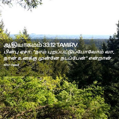 Picture 02 - ஆதியாகமம் 33:12 TAMIRV - பின்பு ஏசா: “நாம் - Bible Verse Picture