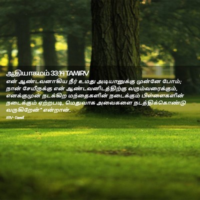 Picture 02 - ஆதியாகமம் 33:14 TAMIRV - என் ஆண்டவனாகிய - Bible Verse Picture