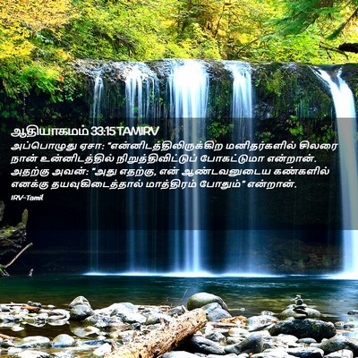 Picture 02 - ஆதியாகமம் 33:15 TAMIRV - அப்பொழுது ஏசா: - Bible Verse Picture