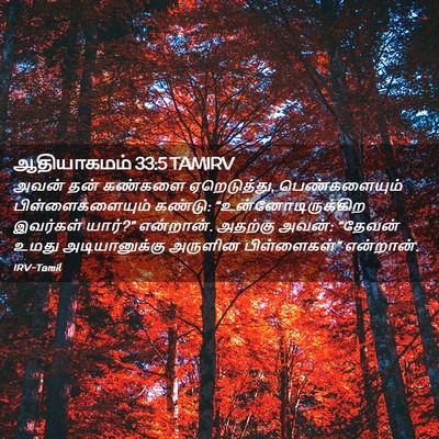 Picture 02 - ஆதியாகமம் 33:5 TAMIRV - அவன் தன் கண்களை - Bible Verse Picture