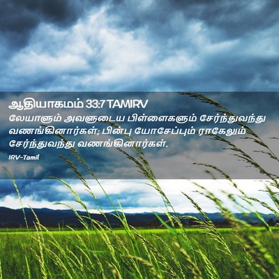 Picture 02 - ஆதியாகமம் 33:7 TAMIRV - லேயாளும் அவளுடைய - Bible Verse Picture