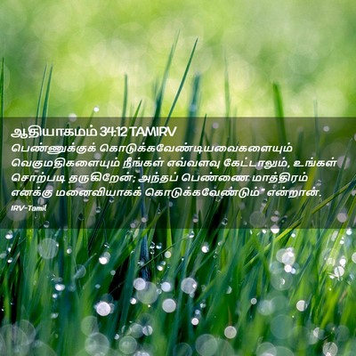 Picture 02 - ஆதியாகமம் 34:12 TAMIRV - பெண்ணுக்குக் - Bible Verse Picture
