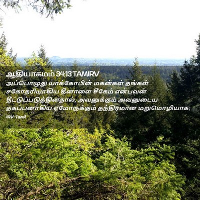 Picture 02 - ஆதியாகமம் 34:13 TAMIRV - அப்பொழுது - Bible Verse Picture