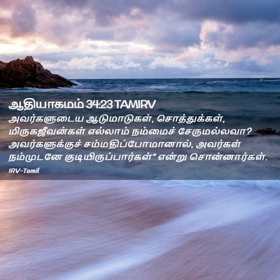Picture 02 - ஆதியாகமம் 34:23 TAMIRV - அவர்களுடைய - Bible Verse Picture