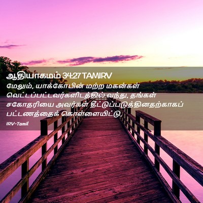 Picture 02 - ஆதியாகமம் 34:27 TAMIRV - மேலும், - Bible Verse Picture