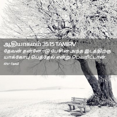 Picture 02 - ஆதியாகமம் 35:15 TAMIRV - தேவன் தன்னோடு - Bible Verse Picture