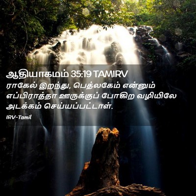 Picture 02 - ஆதியாகமம் 35:19 TAMIRV - ராகேல் இறந்து, - Bible Verse Picture