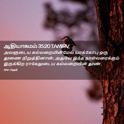 Picture 02 - ஆதியாகமம் 35:20 TAMIRV - அவளுடைய - Bible Verse Picture