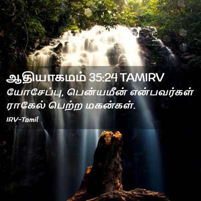 Picture 02 - ஆதியாகமம் 35:24 TAMIRV - யோசேப்பு, - Bible Verse Picture