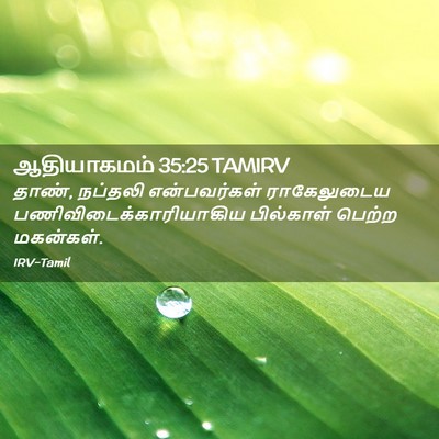 Picture 02 - ஆதியாகமம் 35:25 TAMIRV - தாண், நப்தலி - Bible Verse Picture