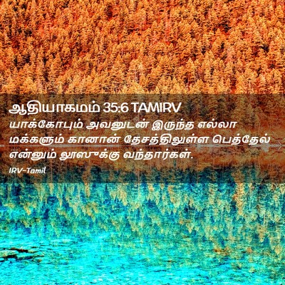 Picture 02 - ஆதியாகமம் 35:6 TAMIRV - யாக்கோபும் - Bible Verse Picture