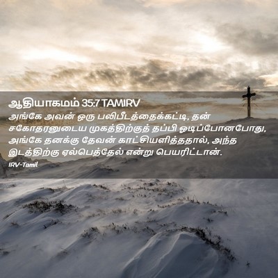 Picture 02 - ஆதியாகமம் 35:7 TAMIRV - அங்கே அவன் ஒரு - Bible Verse Picture