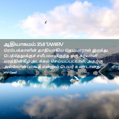 Picture 02 - ஆதியாகமம் 35:8 TAMIRV - ரெபெக்காளின் - Bible Verse Picture