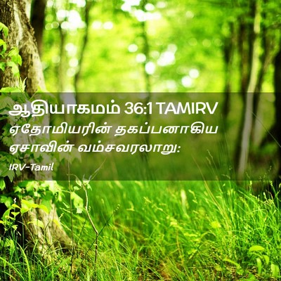 Picture 02 - ஆதியாகமம் 36:1 TAMIRV - ஏதோமியரின் - Bible Verse Picture