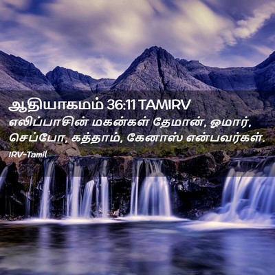 Picture 02 - ஆதியாகமம் 36:11 TAMIRV - எலிப்பாசின் - Bible Verse Picture