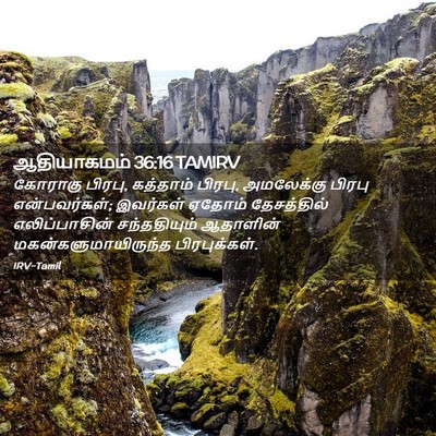 Picture 02 - ஆதியாகமம் 36:16 TAMIRV - கோராகு பிரபு, - Bible Verse Picture