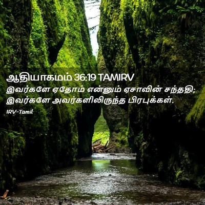 Picture 02 - ஆதியாகமம் 36:19 TAMIRV - இவர்களே ஏதோம் - Bible Verse Picture