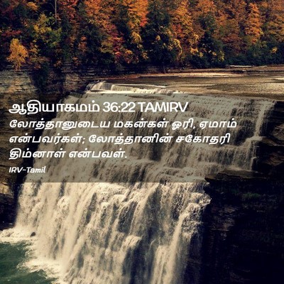 Picture 02 - ஆதியாகமம் 36:22 TAMIRV - லோத்தானுடைய - Bible Verse Picture