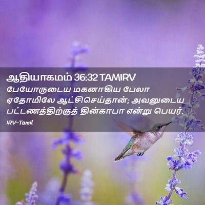 Picture 02 - ஆதியாகமம் 36:32 TAMIRV - பேயோருடைய மகனாகிய - Bible Verse Picture