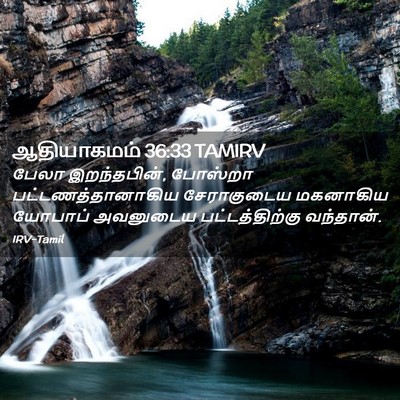 Picture 02 - ஆதியாகமம் 36:33 TAMIRV - பேலா இறந்தபின், - Bible Verse Picture
