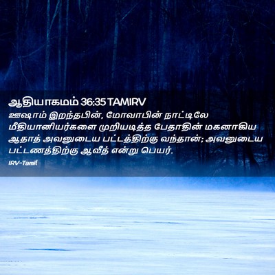 Picture 02 - ஆதியாகமம் 36:35 TAMIRV - ஊஷாம் இறந்தபின், - Bible Verse Picture