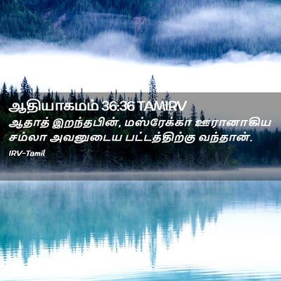 Picture 02 - ஆதியாகமம் 36:36 TAMIRV - ஆதாத் இறந்தபின், - Bible Verse Picture