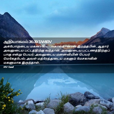 Picture 02 - ஆதியாகமம் 36:39 TAMIRV - அக்போருடைய - Bible Verse Picture