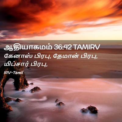 Picture 02 - ஆதியாகமம் 36:42 TAMIRV - கேனாஸ் பிரபு, - Bible Verse Picture