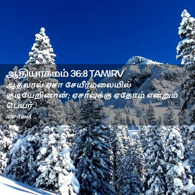 Picture 02 - ஆதியாகமம் 36:8 TAMIRV - ஆதலால் ஏசா - Bible Verse Picture