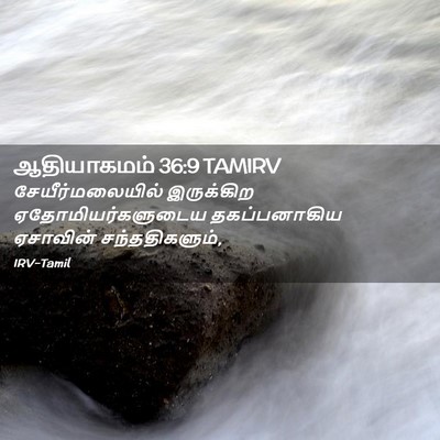 Picture 02 - ஆதியாகமம் 36:9 TAMIRV - சேயீர்மலையில் - Bible Verse Picture