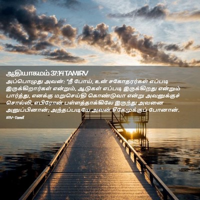 Picture 02 - ஆதியாகமம் 37:14 TAMIRV - அப்பொழுது அவன்: - Bible Verse Picture