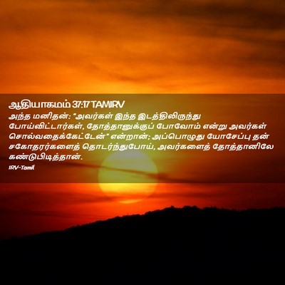 Picture 02 - ஆதியாகமம் 37:17 TAMIRV - அந்த மனிதன்: - Bible Verse Picture