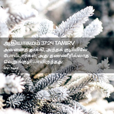 Picture 02 - ஆதியாகமம் 37:24 TAMIRV - அவனைத் தூக்கி, - Bible Verse Picture