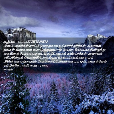 Picture 02 - ஆதியாகமம் 37:25 TAMIRV - பின்பு, அவர்கள் - Bible Verse Picture