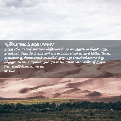 Picture 02 - ஆதியாகமம் 37:28 TAMIRV - அந்த வியாபாரிகளான - Bible Verse Picture