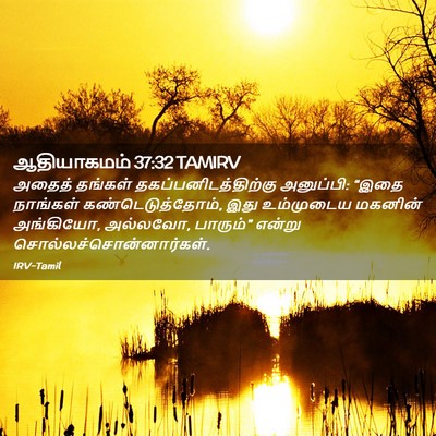 Picture 02 - ஆதியாகமம் 37:32 TAMIRV - அதைத் தங்கள் - Bible Verse Picture
