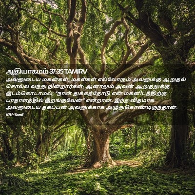 Picture 02 - ஆதியாகமம் 37:35 TAMIRV - அவனுடைய மகன்கள், - Bible Verse Picture