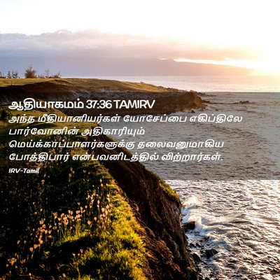 Picture 02 - ஆதியாகமம் 37:36 TAMIRV - அந்த - Bible Verse Picture
