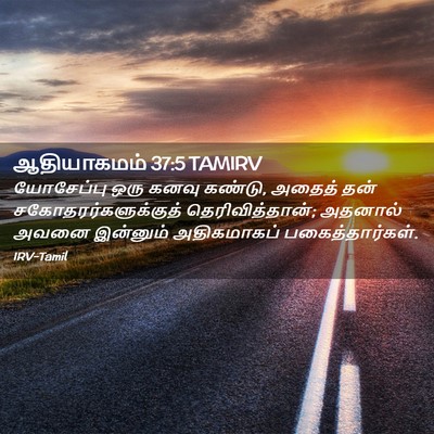 Picture 02 - ஆதியாகமம் 37:5 TAMIRV - யோசேப்பு ஒரு கனவு - Bible Verse Picture