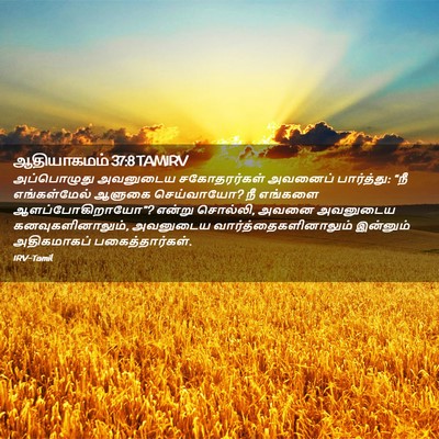 Picture 02 - ஆதியாகமம் 37:8 TAMIRV - அப்பொழுது அவனுடைய - Bible Verse Picture