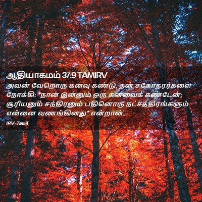 Picture 02 - ஆதியாகமம் 37:9 TAMIRV - அவன் வேறொரு கனவு - Bible Verse Picture