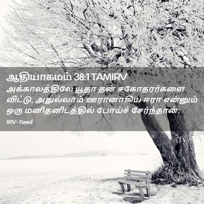 Picture 02 - ஆதியாகமம் 38:1 TAMIRV - அக்காலத்திலே யூதா - Bible Verse Picture