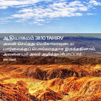 Picture 02 - ஆதியாகமம் 38:10 TAMIRV - அவன் செய்தது - Bible Verse Picture