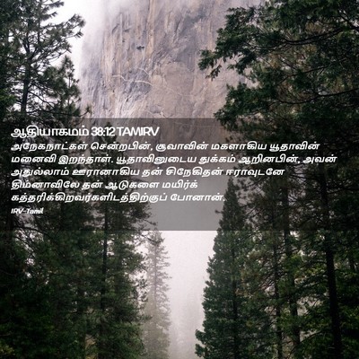 Picture 02 - ஆதியாகமம் 38:12 TAMIRV - அநேகநாட்கள் - Bible Verse Picture